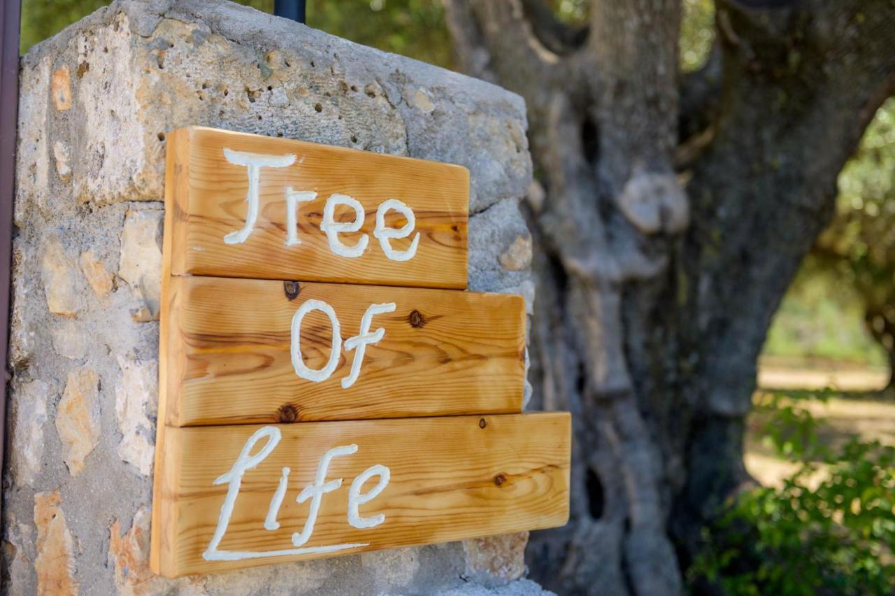 Tree Of Life Villa Valeriános Dış mekan fotoğraf