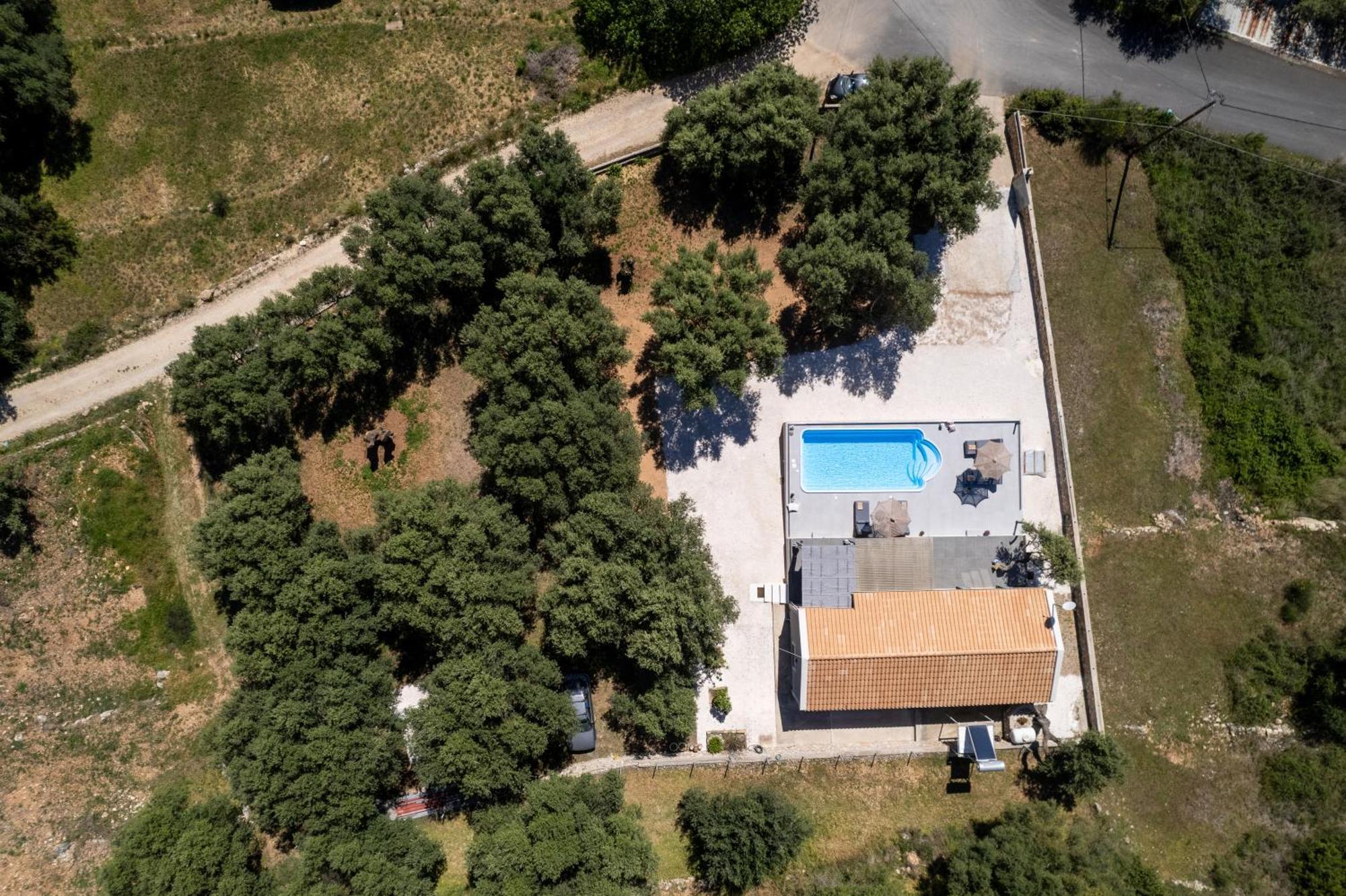 Tree Of Life Villa Valeriános Dış mekan fotoğraf